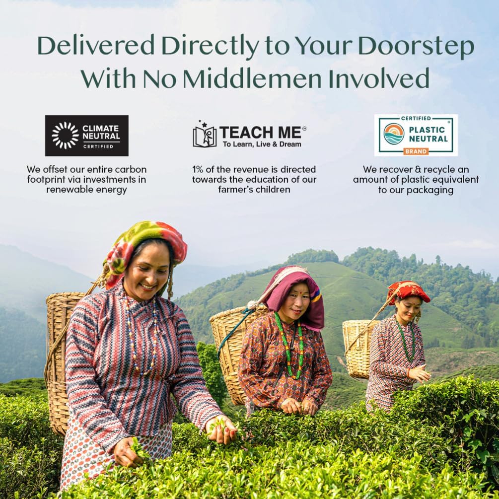 VAHDAM, Assam Black Tea Leaves (500 g) 250+ Cups | High Caffeine, Non-GMO, Gluten-Free | STRONG, MALTY & RICH | Pure Unblended Single Origin Black Loose Leaf Tea | Vacuum Sealed