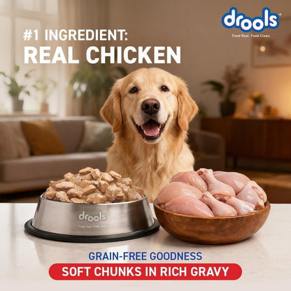 Drools Adult Wet Dog Food 0.9kg (150g x 6) Pack of 6 | Real Chicken and Chicken Liver Chunks in Gravy | Healthy Skin and Coat | Maintains Joint Health | Better Digestibility and Health