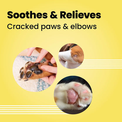 Bark Out Loud by Vivaldis -Natural Beeswax Paw Butter - Moisturizer Infused with Natural Oils for Dogs & Cats - Soothes & Reliefs Dry Cracked, Paws & Elbows – 30gms