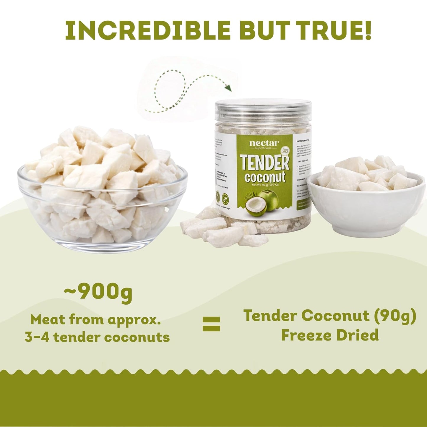 Freeze Dried Tender Coconut Slices – 90g Jar Pack of 1 | 100% Natural Coconut Snack | No Added Sugar | Crispy & Healthy |