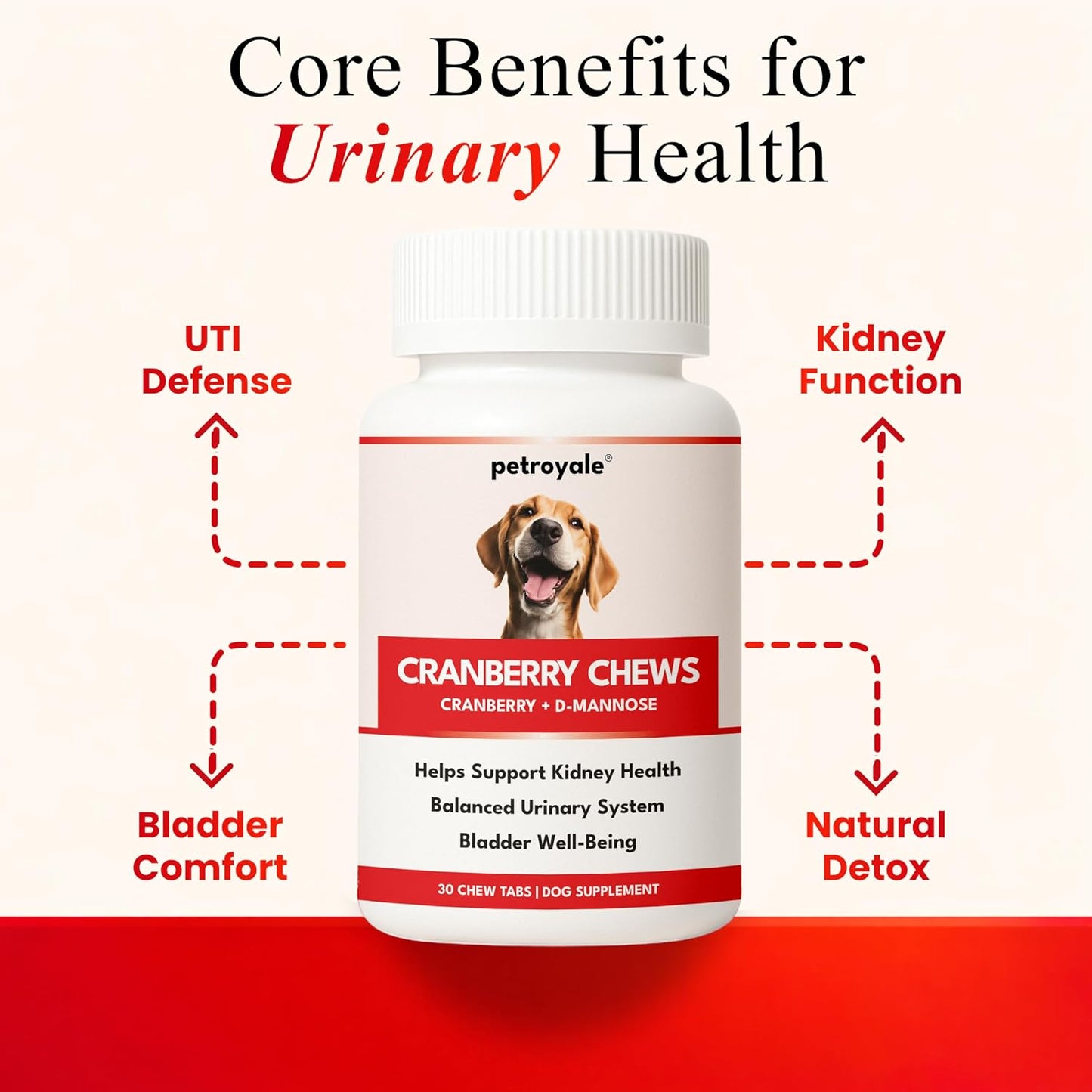 Petroyale Cranberry Chews for Dogs - Dog UTI Health Supplement - Better Urinary Tract & Bladder Function - Antioxidant, Anti-Inflammatory - for Dogs of All Breeds (30 Chews Tabs)