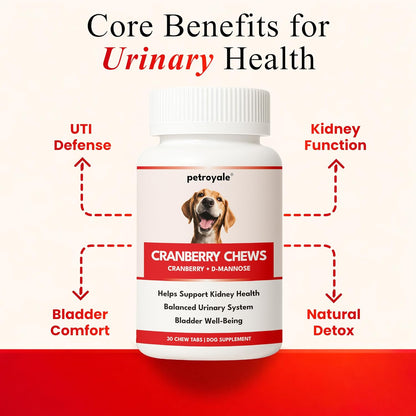 Petroyale Cranberry Chews for Dogs - Dog UTI Health Supplement - Better Urinary Tract & Bladder Function - Antioxidant, Anti-Inflammatory - for Dogs of All Breeds (30 Chews Tabs)