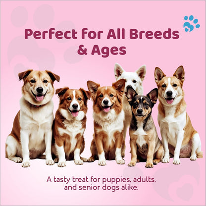 Petoska Chicken & Beetroot Dog Treats – 100 g Crunchy Natural Chew Sticks for Puppies & Adult Dogs, Nutrient-Rich Training & Reward Snack