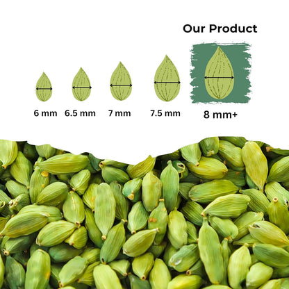 GOURMET HEALTH IMPRESSIONS | Superior Grade Whole Green Cardamom (Elaichi) - 8MM BOLD Size | Large Size | Aromatic Green Pods, Non-GMO - Perfect for Culinary & Aromatic Uses | GHI Foods