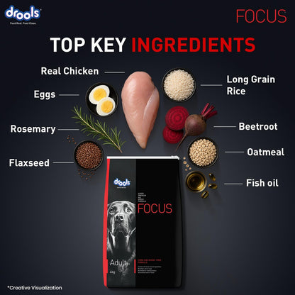 Drools Focus Premium Adult Dry Dog Food 1.2kg Pack | Chicken Flavour | Growth & Intelligence | Digestive Health | Healthy Skin & Coat | Improves Immunity