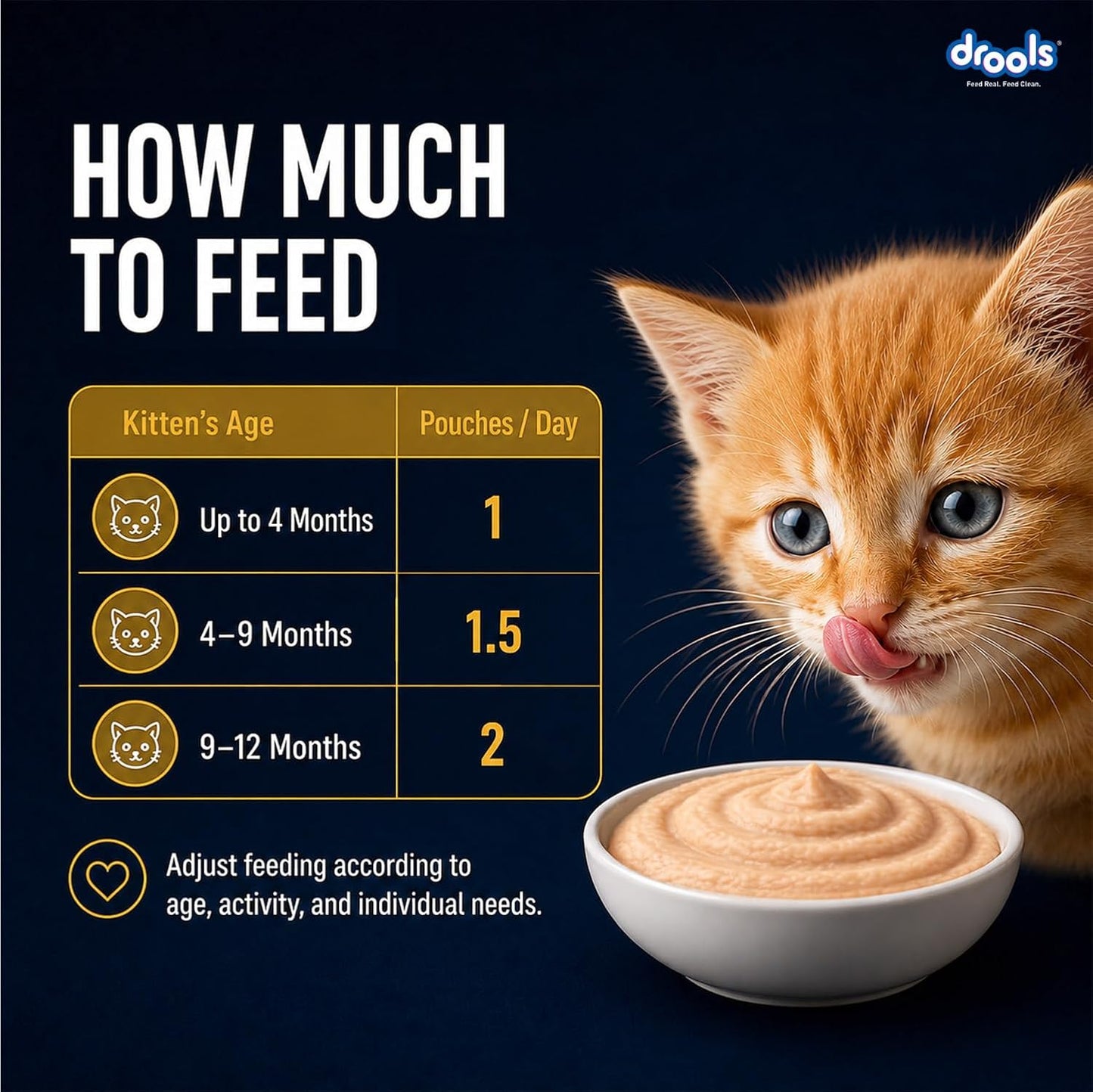 Drools Kitten Wet Mousse 80g | Chicken | High Protein | Supports Hydration & Easy Digestion | Grain Free | No Artificial Additives | Enriched with Vitamins & Antioxidants