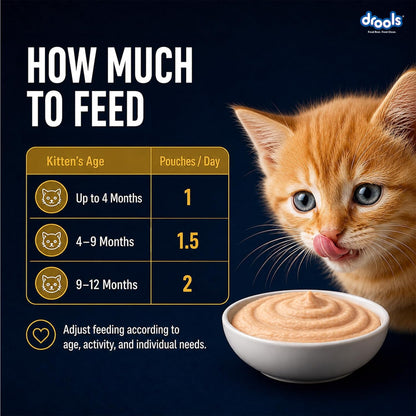 Drools Kitten Wet Mousse 80g | Chicken | High Protein | Supports Hydration & Easy Digestion | Grain Free | No Artificial Additives | Enriched with Vitamins & Antioxidants