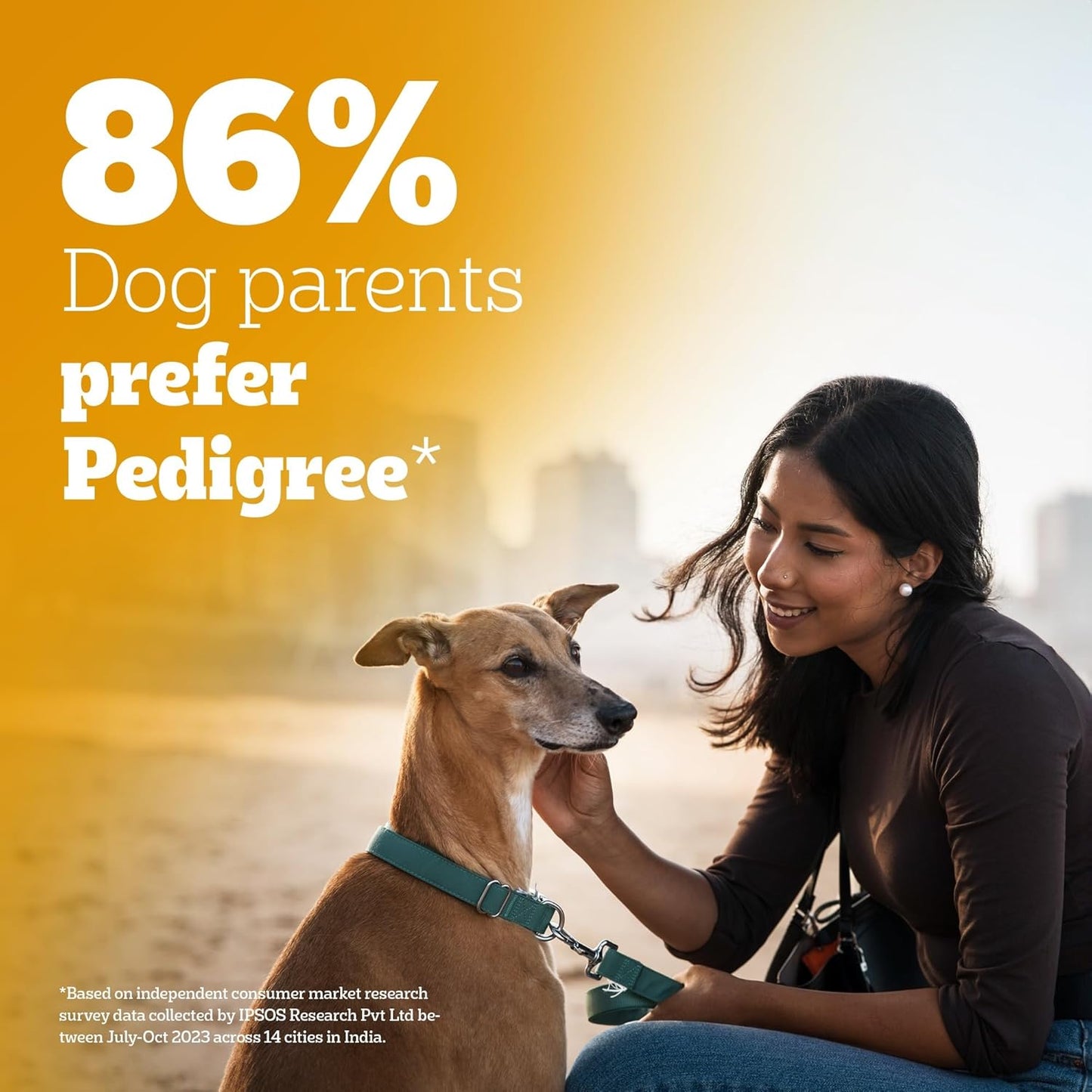 Pedigree Adult Wet Dog Food, Chicken & Liver Chunks in Gravy, 70 g, Complete & Balanced Meal for Adult Dogs