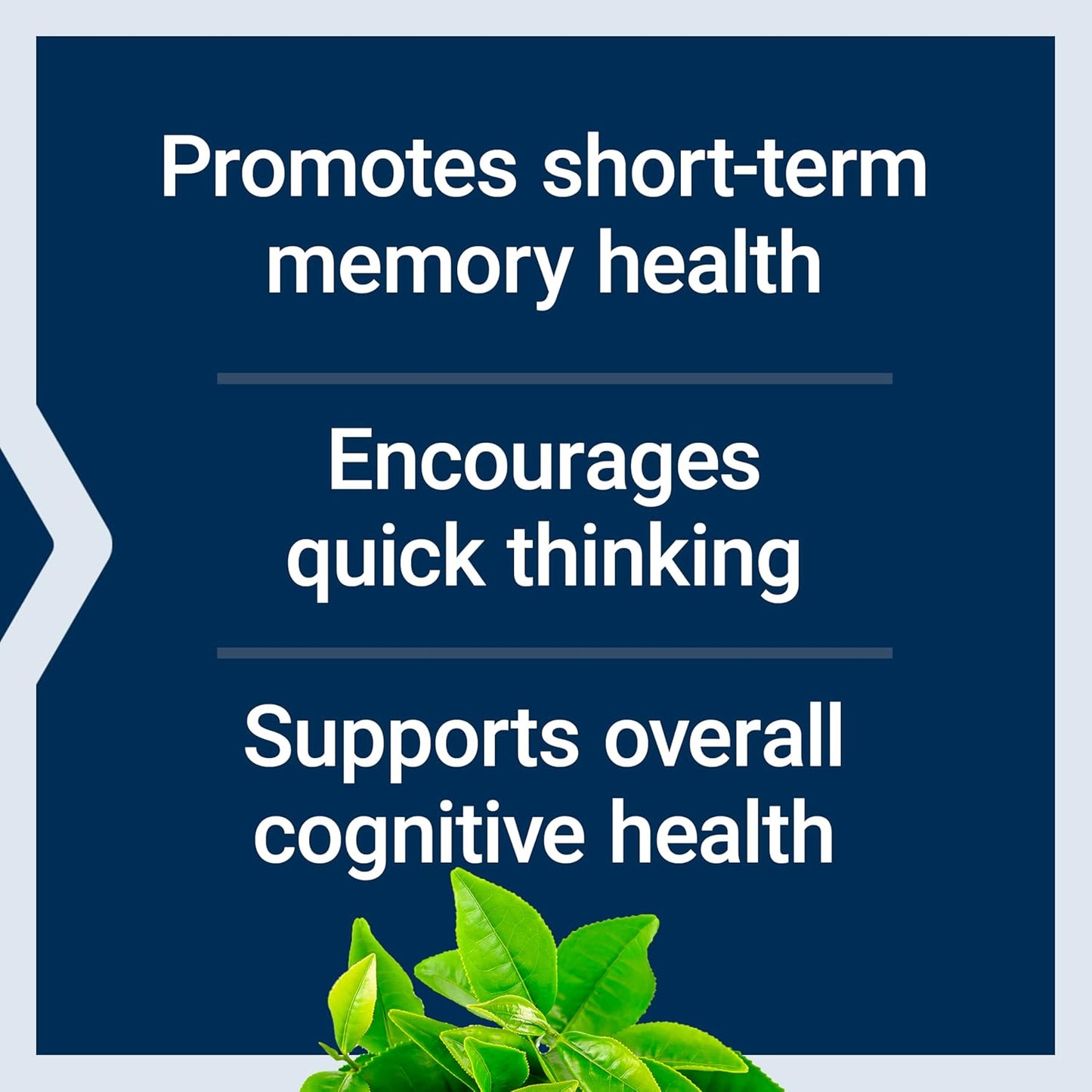 Text on a blue background about cognitive health benefits with a plant at the bottom.