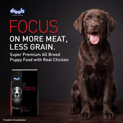 Drools Focus Premium Puppy Dry Dog Food 1.2kg Pack | Chicken Flavour | Growth & Intelligence | Digestive Health | Healthy Skin & Coat | Improves Immunity