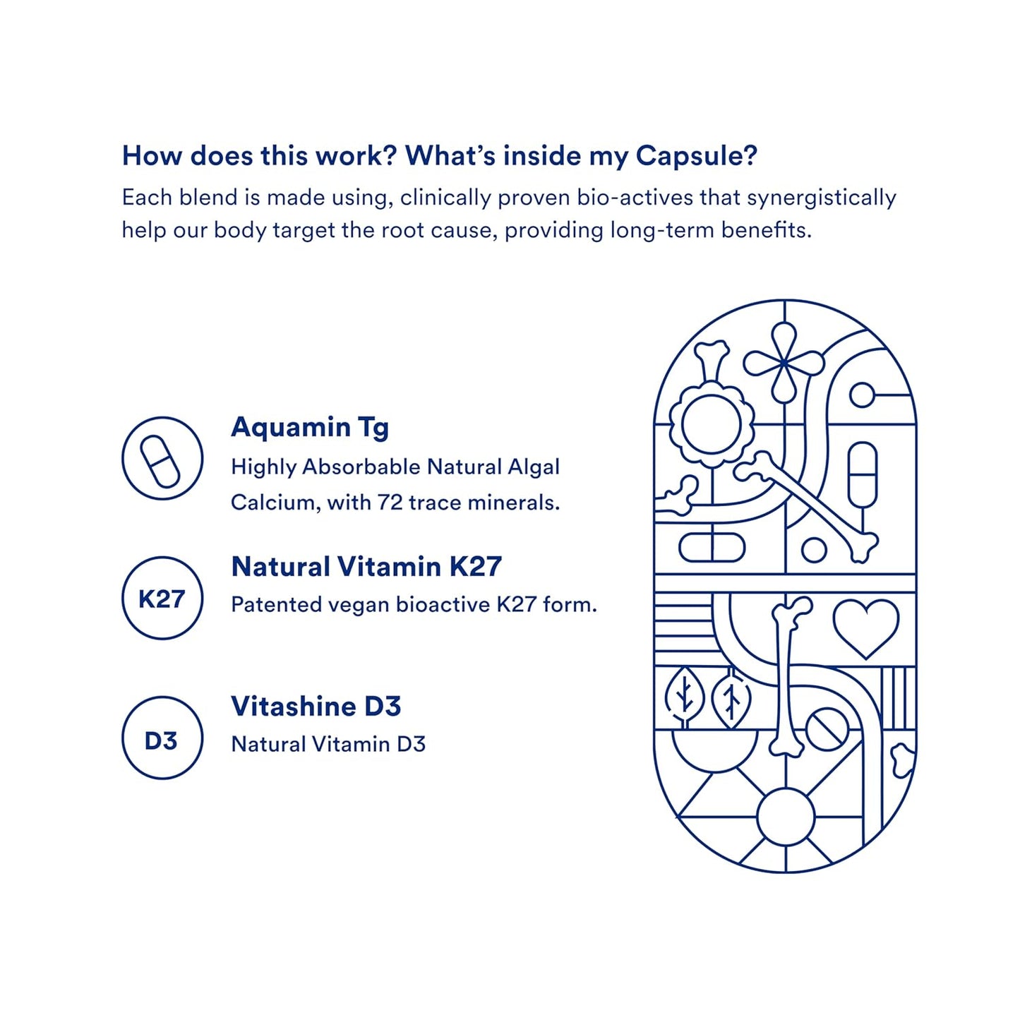 Bone Strength | Plant-based Calcium with Vitamin D3, K2-7 & Magnesium | Supports bone health| GMP Certified | 56 Veg Capsules