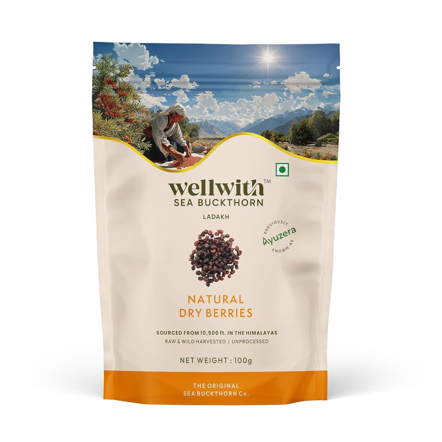 Wellwith by Ayuzera Sea buckthorn Dry Berry 100g – Natural, Sun-Dried, Rich in Omega 3,6,7 and 9, & Vitamin C, E | Dried Seabuckthorn Berries | No Added Sugar or Preservatives
