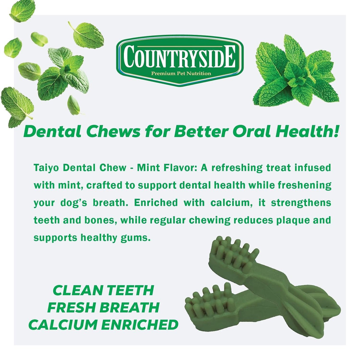 COUNTRYSIDE Dog Dental Chews Treats 250g – Mint Flavor | Brush-Shaped Chews for Dogs, Oral & Gum Care for Dogs | Fights Plaque & Tartar | Freshens Breath | Calcium Enriched & Gluten Free
