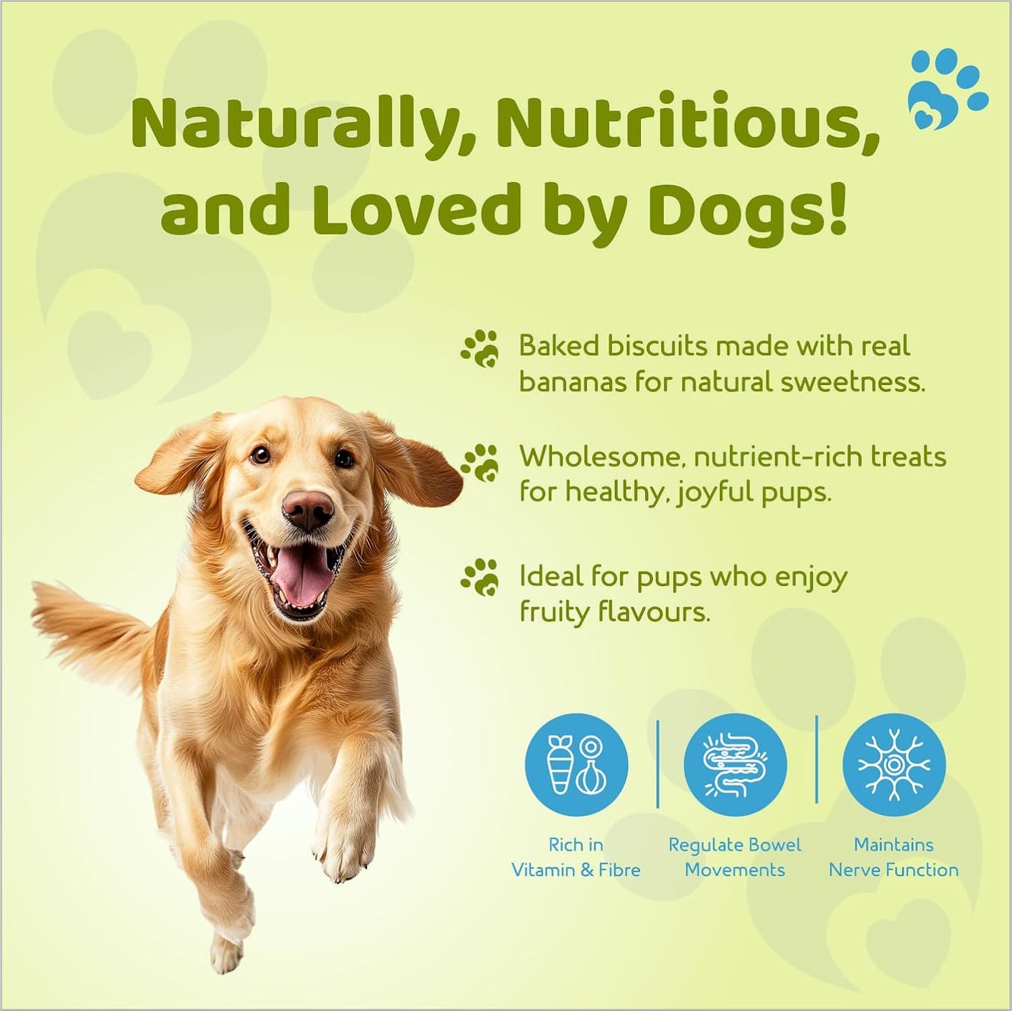 Petoska Dog Biscuits – Chicken Flavor | 500g Jar | Real Chicken Goodness | Crunchy, Nutritious Treats for All Breeds | 300 kcal/100g | Healthy Dog Snack