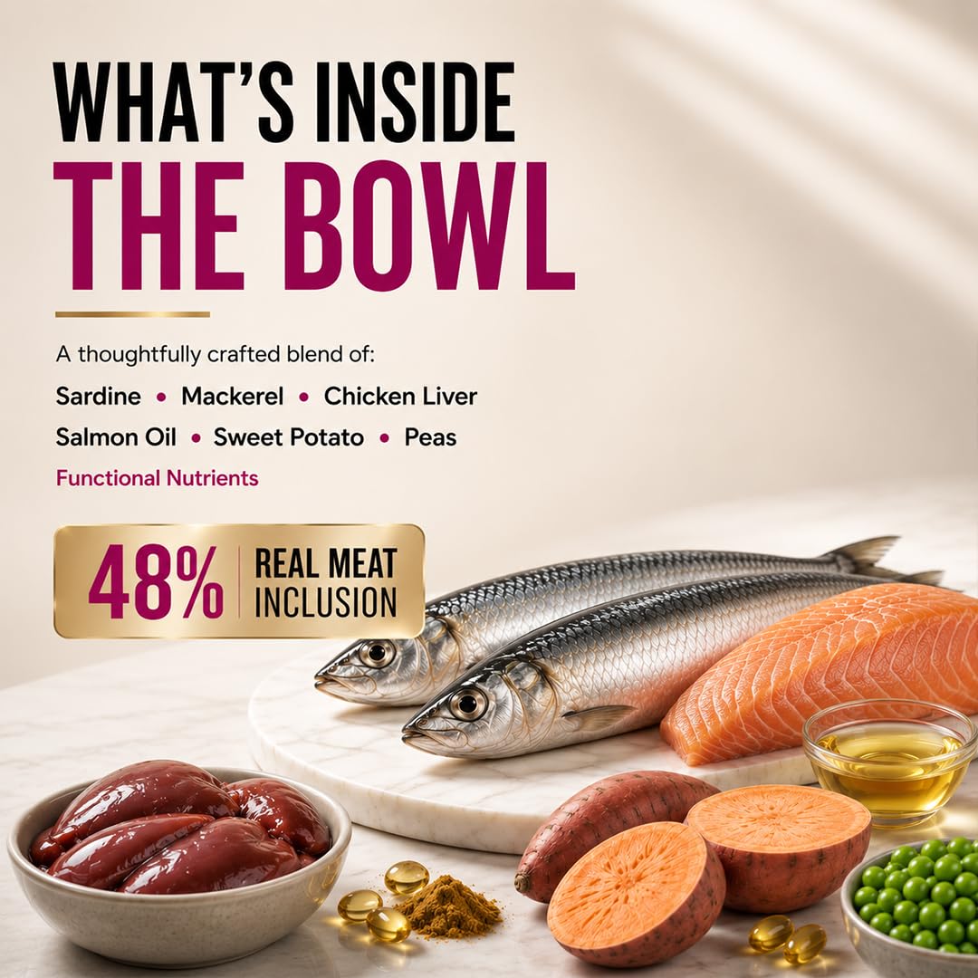 Grain Zero Persian Dry Cat Food 400g | Ocean Fish, Sardine & Mackerel | 48% Fresh Fish Inclusion, No Grain Formula, Gluten- Free, Hairball Control | for Persian & Long Coat Cats, All Life Stages