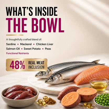 Grain Zero Persian Dry Cat Food 400g | Ocean Fish, Sardine & Mackerel | 48% Fresh Fish Inclusion, No Grain Formula, Gluten- Free, Hairball Control | for Persian & Long Coat Cats, All Life Stages