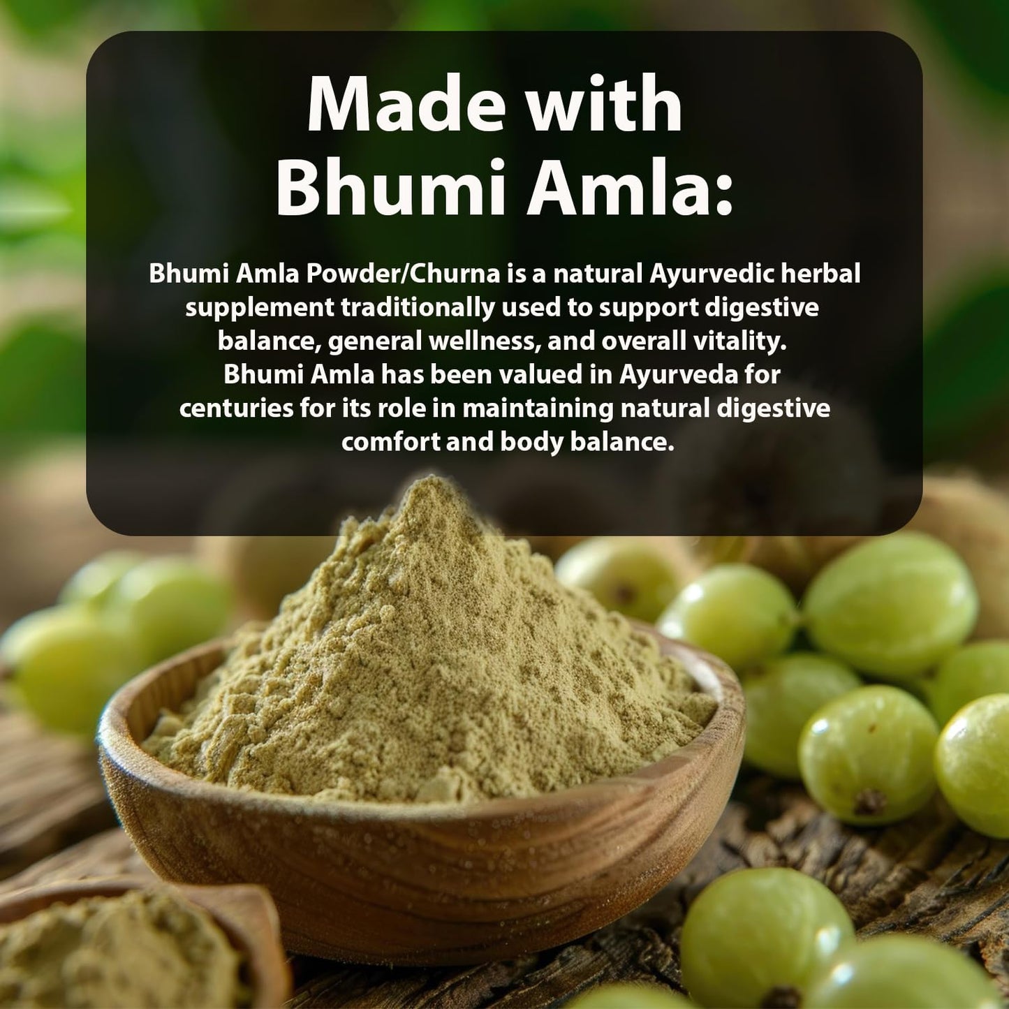 Bhumi Amla Powder/Churn - Organic And Pure Ingredient Extract For Healthy Liver Functioning And Digestive Strength | Enriched With Essential Nutrients (100 GM) (100 g (Pack of 1)
