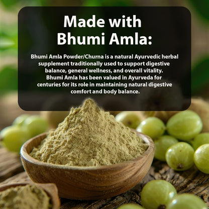 Bhumi Amla Powder/Churn - Organic And Pure Ingredient Extract For Healthy Liver Functioning And Digestive Strength | Enriched With Essential Nutrients (100 GM) (100 g (Pack of 1)
