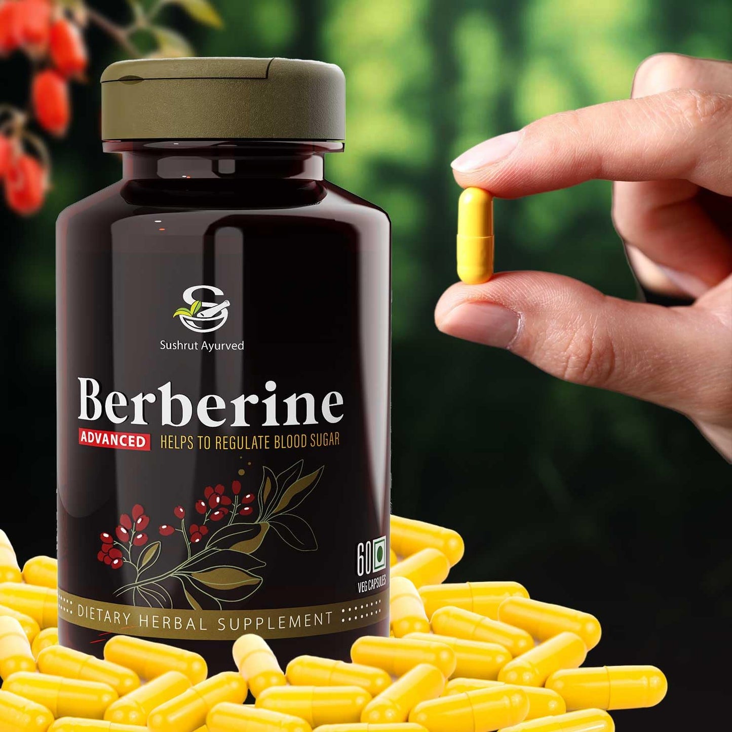 Berberine Advanced 500mg Capsules for Glucose Balance, Optimal Metabolism & Weight Management – Plant-Based Formula with Banaba, Piperine & Cinnamon Extracts [Vegan Friendly] (Pack of 1 - 60 Capsules Each)