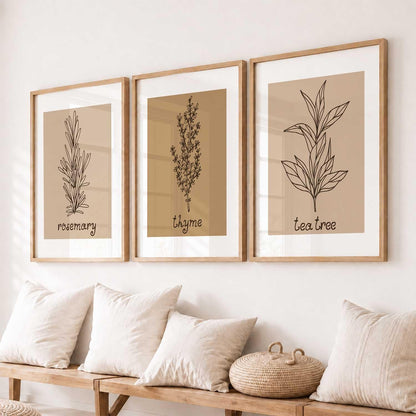 Botanical Wall Art Painting |Poster With Frame Wall Decoration Wall Paintings For Home Décor | Frames For Home Décor Office Living Room | Set of 3 (13X17 inch)