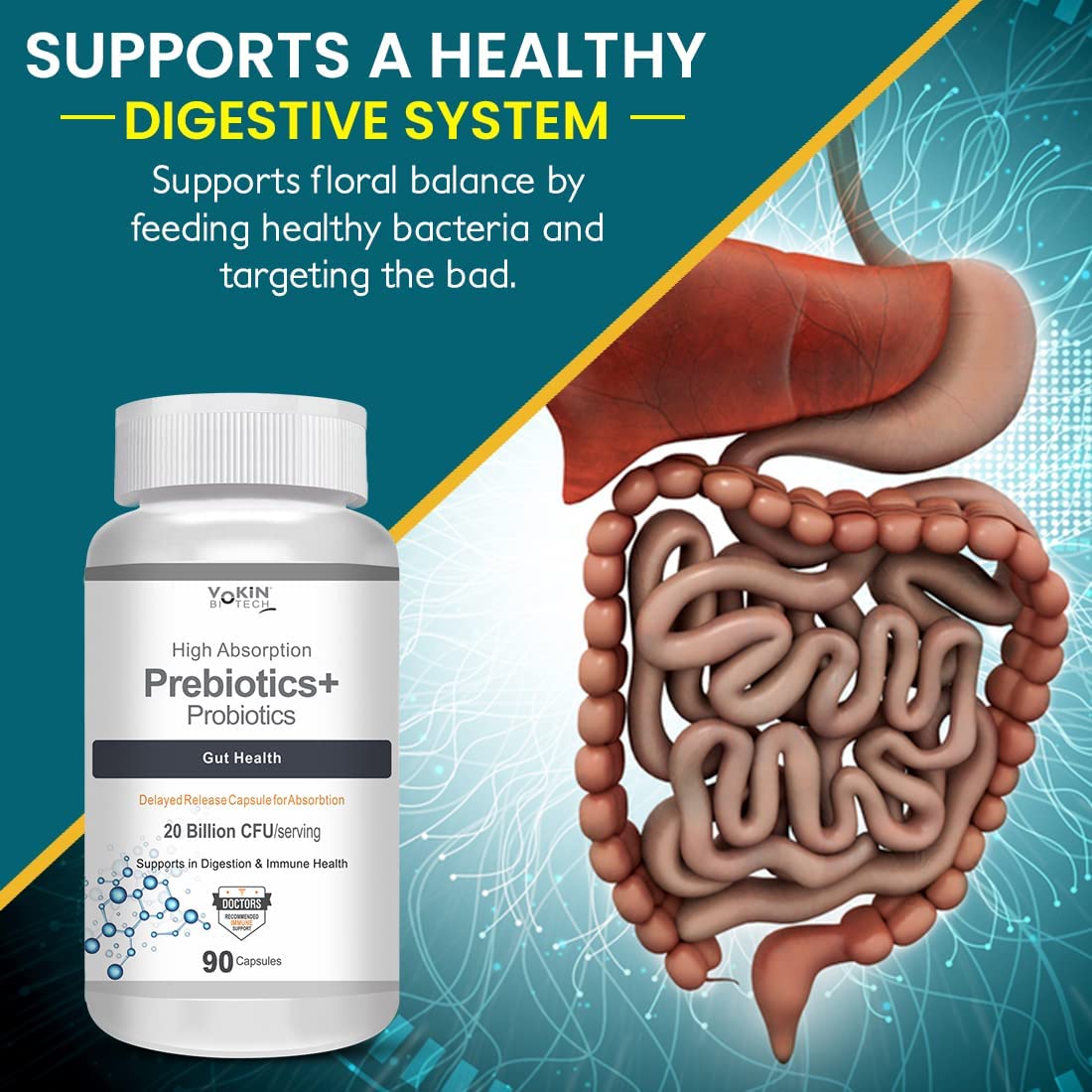 Prebiotics+ Probiotics supplement bottle with an illustration of a digestive system on a blue and green background.