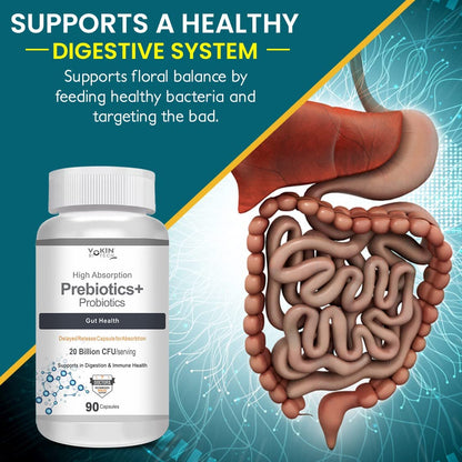 Prebiotics+ Probiotics supplement bottle with an illustration of a digestive system on a blue and green background.