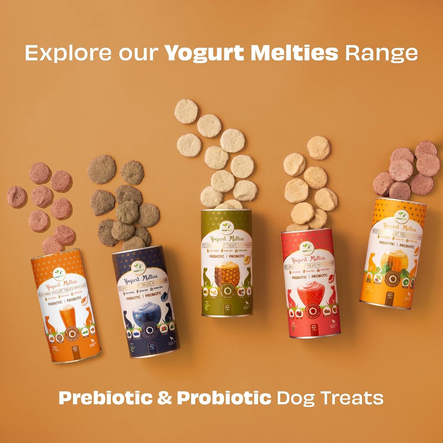 Pawfect Yogurt Melties Freeze Dried Pre and Probiotic Dog Treats with Carrot, Flaxseed, Pea & Sweet Potato - Healthy Gut - Low Calories - Grain & Gluten Free - Reward or Training Treats (38g/1.34oz)