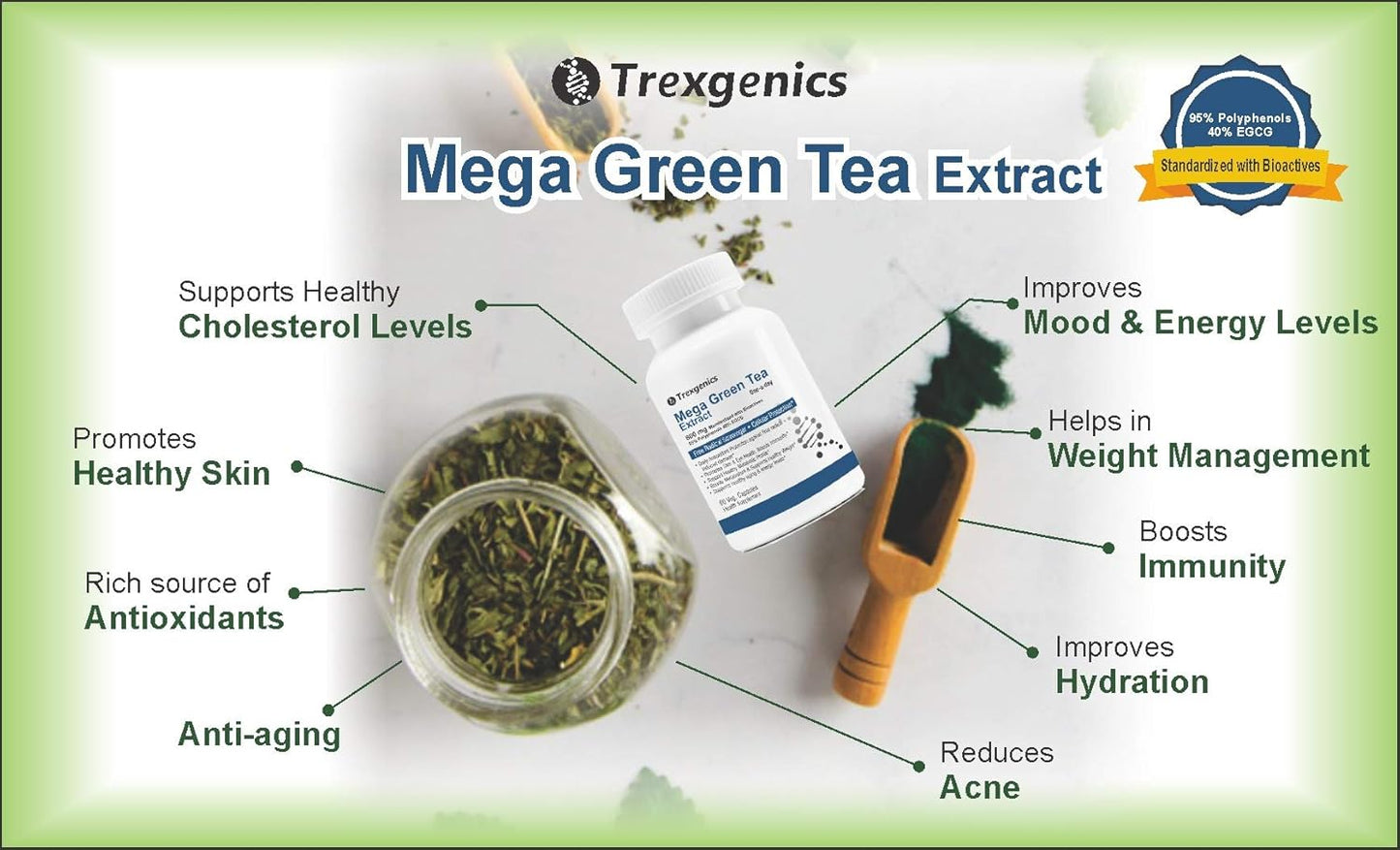 Trexgenics® MEGA Green Tea (Bioactive 95% Polyphenols) One-a-day Antioxidant, Free Radical Scavenger, Cellular Protection, Heart, Skin, Immunity & Metabolism (60 Vcaps) (1)