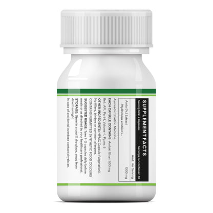 INLIFE Natural Vitamin C Amla Extract Supplement | Immunity, Overall Wellness for Men and Women - 60 Vegetarian Capsules (Pack of 1, 60)