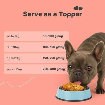 applod Fresh Fish Meal Dog Food for Adult Dogs | High-Protein Fish Recipe with Omega for Healthy Skin & Coat | Easy Digestion & Complete Balanced Nutrition | 300g