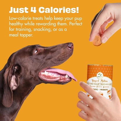 Pawfect Yogurt Melties Freeze Dried Pre and Probiotic Dog Treats with Pumpkin, Beetroot, Cabbage & Fennel Seeds- Healthy Gut- Low Calories- Grain & Gluten Free - Reward or Training Treats (38g/1.34oz)