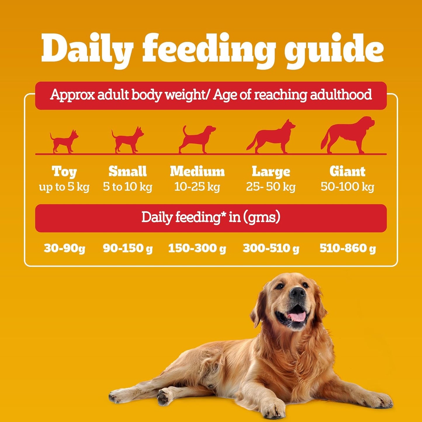 Pedigree Adult Dry Dog Food, Meat & Rice, 1 kg, Contains 37 Essential Nutrients, 100% Complete & Balanced Food for Adult Dogs