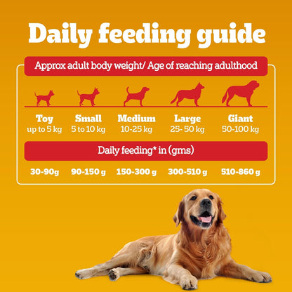 Pedigree Adult Dry Dog Food, Meat & Rice, 1 kg, Contains 37 Essential Nutrients, 100% Complete & Balanced Food for Adult Dogs