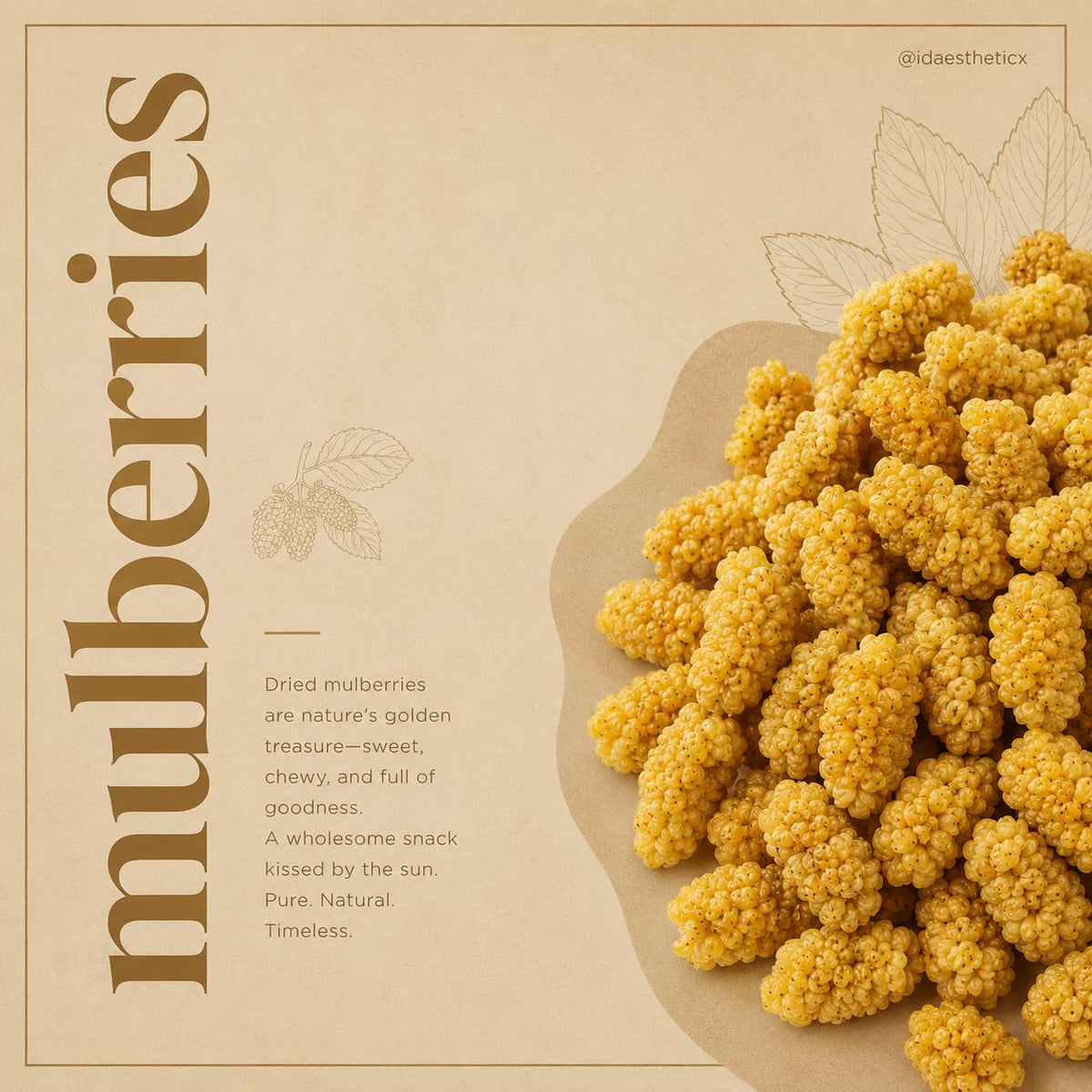 Nurture Tree Dried Mulberries | 100% Natural & Unsulfured Mulberry Berries | No Added Sugar | Nutrient-Rich Ancient Superberry | Healthy Snacks