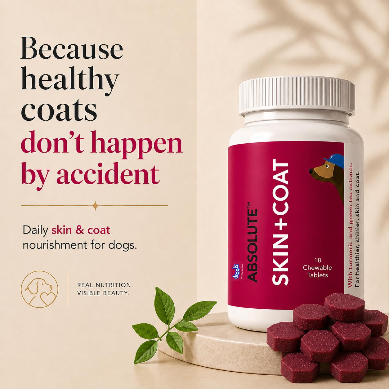 Drools Absolute Dog Supplement Tablet, Skin + Coat 400g 110 Pieces Jar | Turmeric Flavour | Supports Skin & Food Sensitivity | Nutrients Rich Botanical