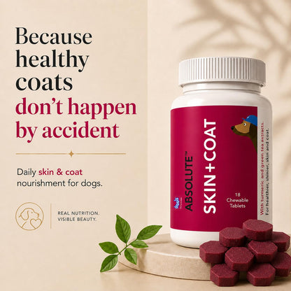 Drools Absolute Dog Supplement Tablet, Skin + Coat 400g 110 Pieces Jar | Turmeric Flavour | Supports Skin & Food Sensitivity | Nutrients Rich Botanical