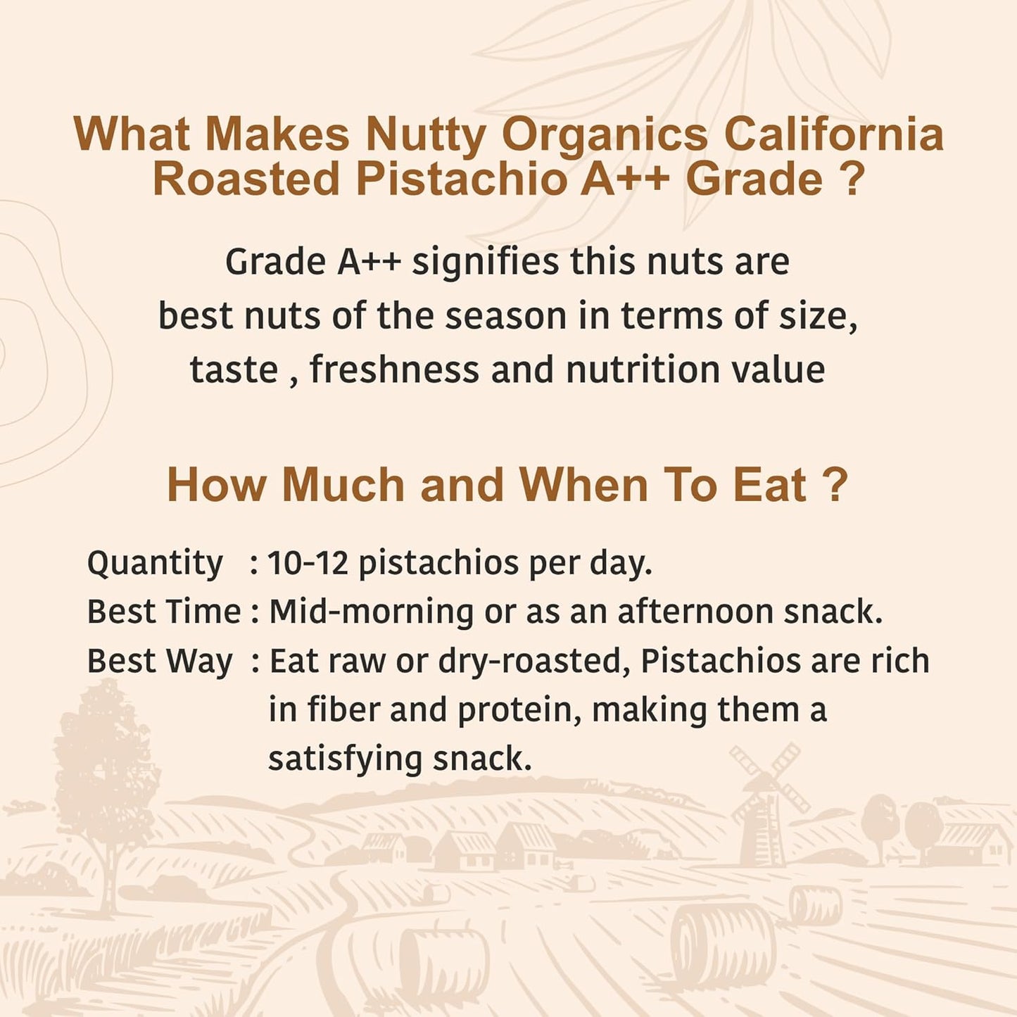 Nutty Organics California Roasted Pistachios 250 GM | Hand Selected Jumbo | Nutritious Tasty & Healthy Nuts Dry Fruits | Rich in Protein