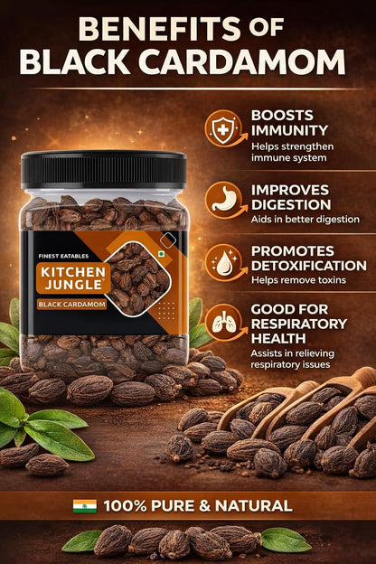 Kitchen Jungle Premium Black Cardamom (Kali Elaichi) 100g | Bold Whole Badi Elaichi Pods | Strong Smoky Aromatic Spice for Biryani, Garam Masala, Curries & Indian Cooking