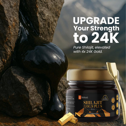 Krishna's Shilajit Gold Plus Resin, 100% Pure Himalayan Shilajit Resin, Natural Mineral & Fulvic Acid Supplement, No Additives - 20 g