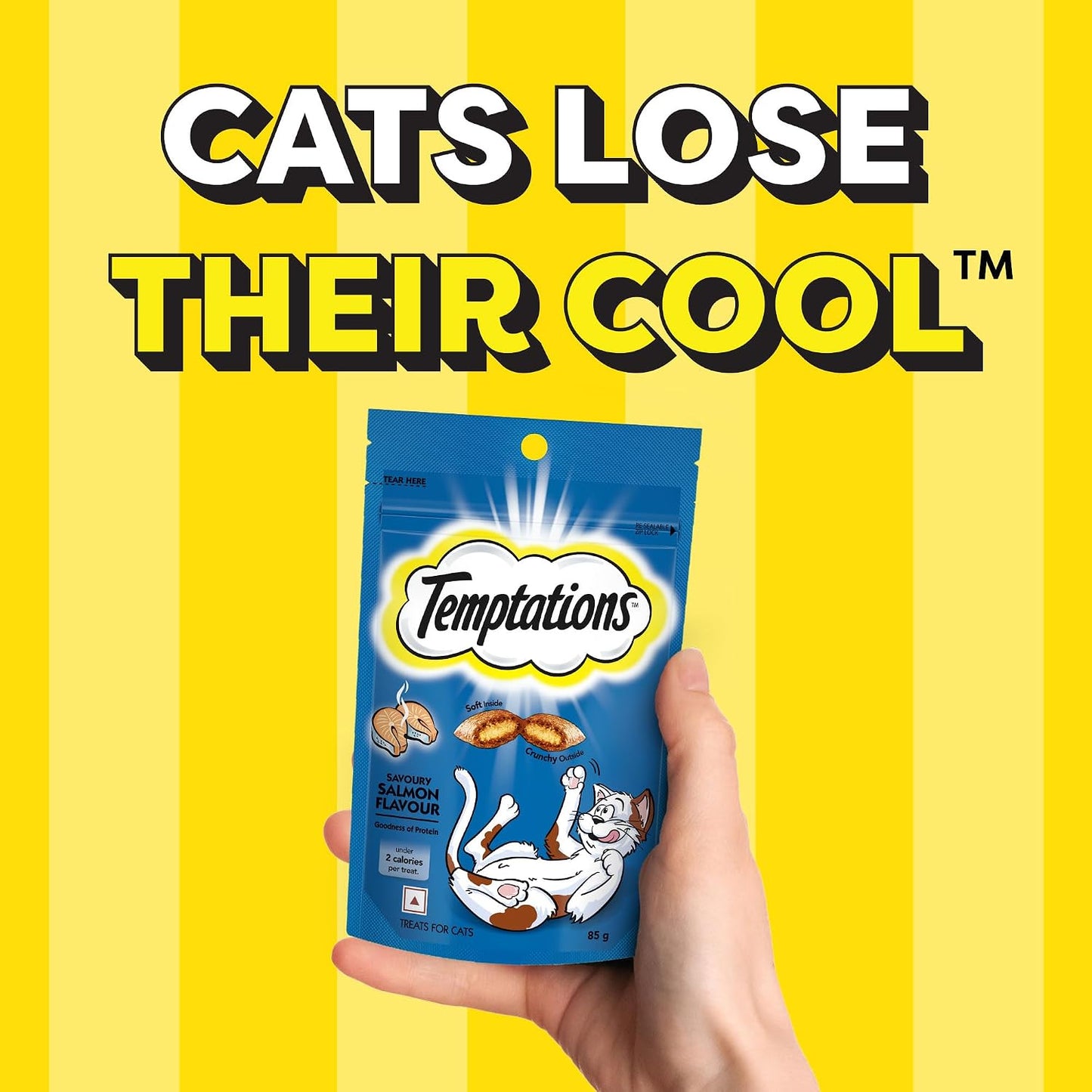Temptations Crunchy Cat Treats, Savoury Salmon Flavour, 85 g, Goodness of Protein, Vitamins & Minerals, Soft Inside Crunchy Outside