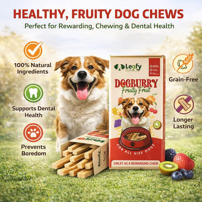 LeafyPaws Dogburry Dog Treats (35g) | Grain Free, Lactose Free, 100% Natural Reward Snack | No Added Preservatives | Healthy Training Treats for All Breeds (Fruity Fruit)