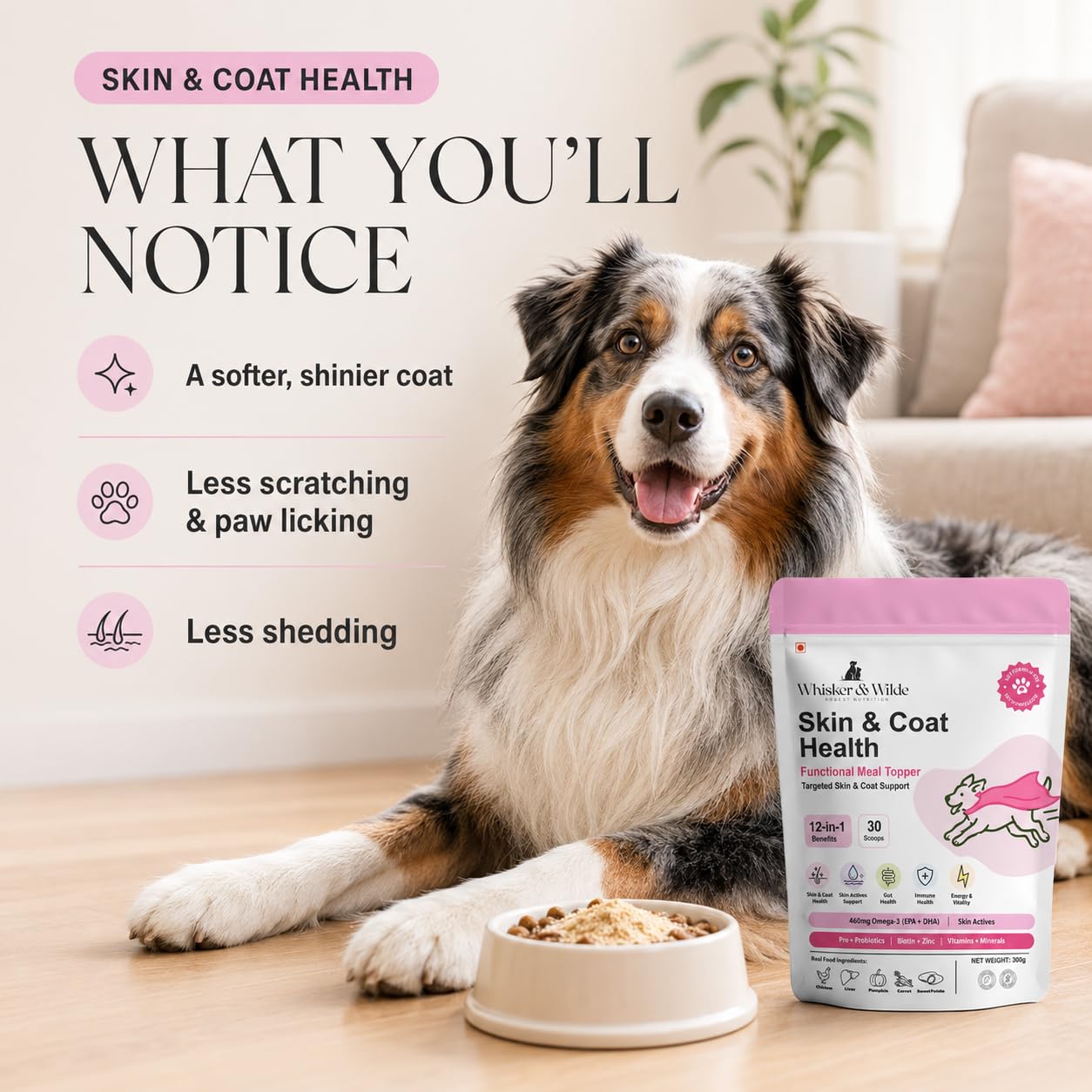 Whisker and Wilde Dog Skin and Coat Supplement | 460mg Omega-3 for Dogs | Coat Shine, Reduced Shedding, Dry Skin | Biotin, L-Methionine, Selenium, Zinc | Skin Actives | 300g
