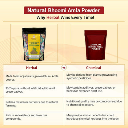 WE HERBAL Bhumi Amla Powder 50g | Natural Herbal Powder | Traditional Ayurvedic Herb | Supports Daily Wellness | Made from Premium Quality Bhumi Amla | No Added Preservatives | Herbal Supplement