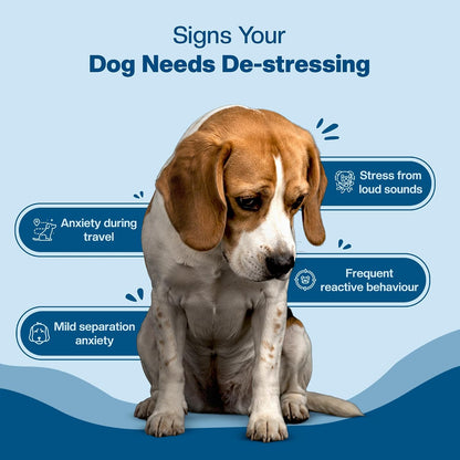 BLEP Super Stress Buster - Dog Calming Soft Chews Supplement, Anxiety, Fear, Restlessness & Separation | Ashwagandha, L-Theanine & Valerian | Fireworks, Travel & Vet Visits | 60g | Dog calming supplement with ashwagandha and L-theanine for anxiety relief