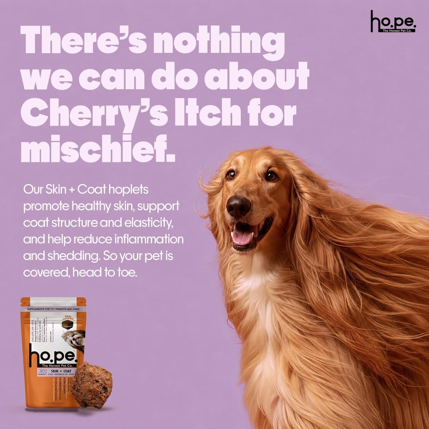 Hope Skin & Coat Supplement for Dogs 30 Chicken hoplets | Pet Chews for Skin Allergies, Itching & Scratching Relief | Biotin, Collagen, Omega 3 & 6 | Cold Press Hypoallergenic | Honest Pet Co