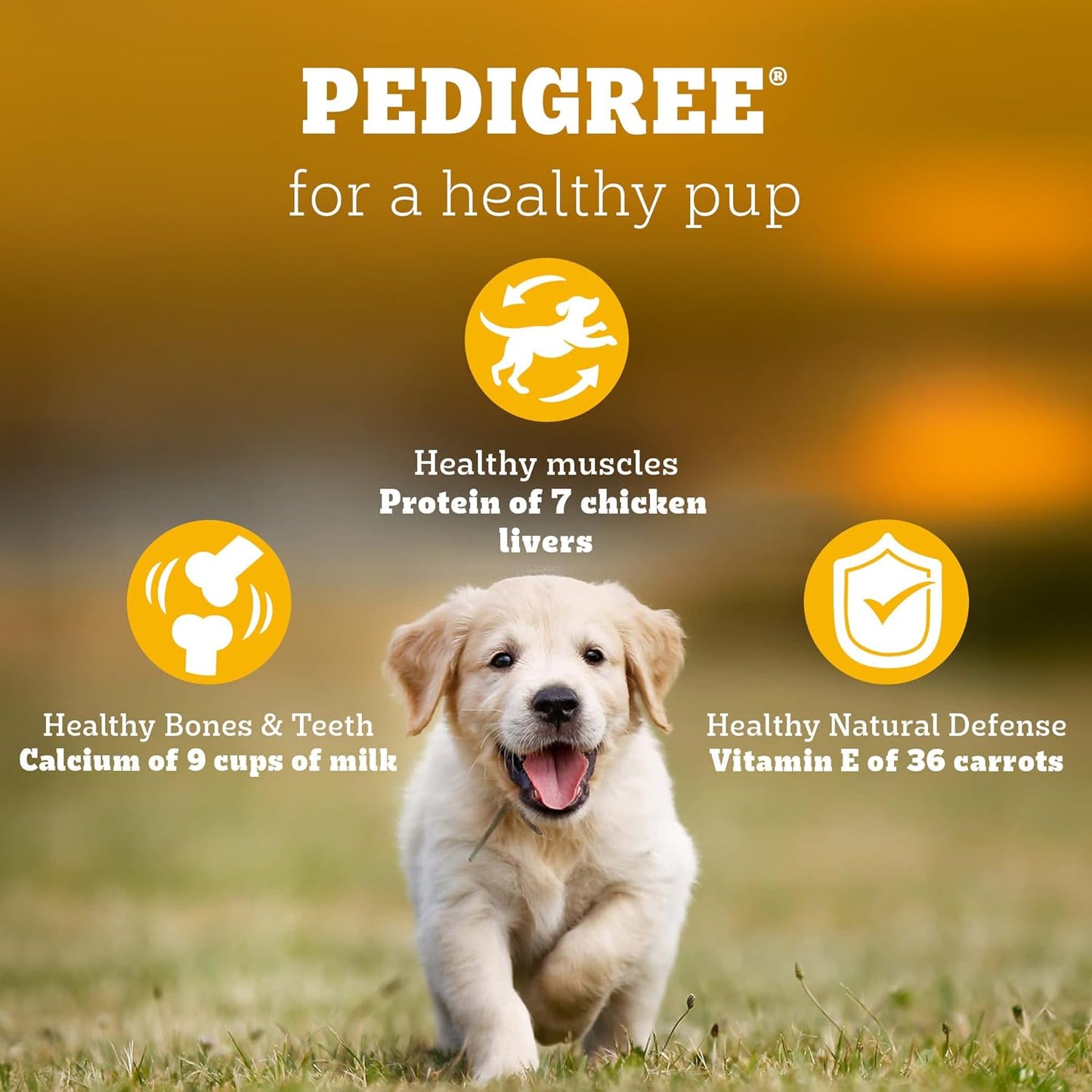 Pedigree Puppy Dry Dog Food, Chicken & Milk, 1 kg, Contains 37 Essential Nutrients, 100% Complete & Balanced Food for Puppies