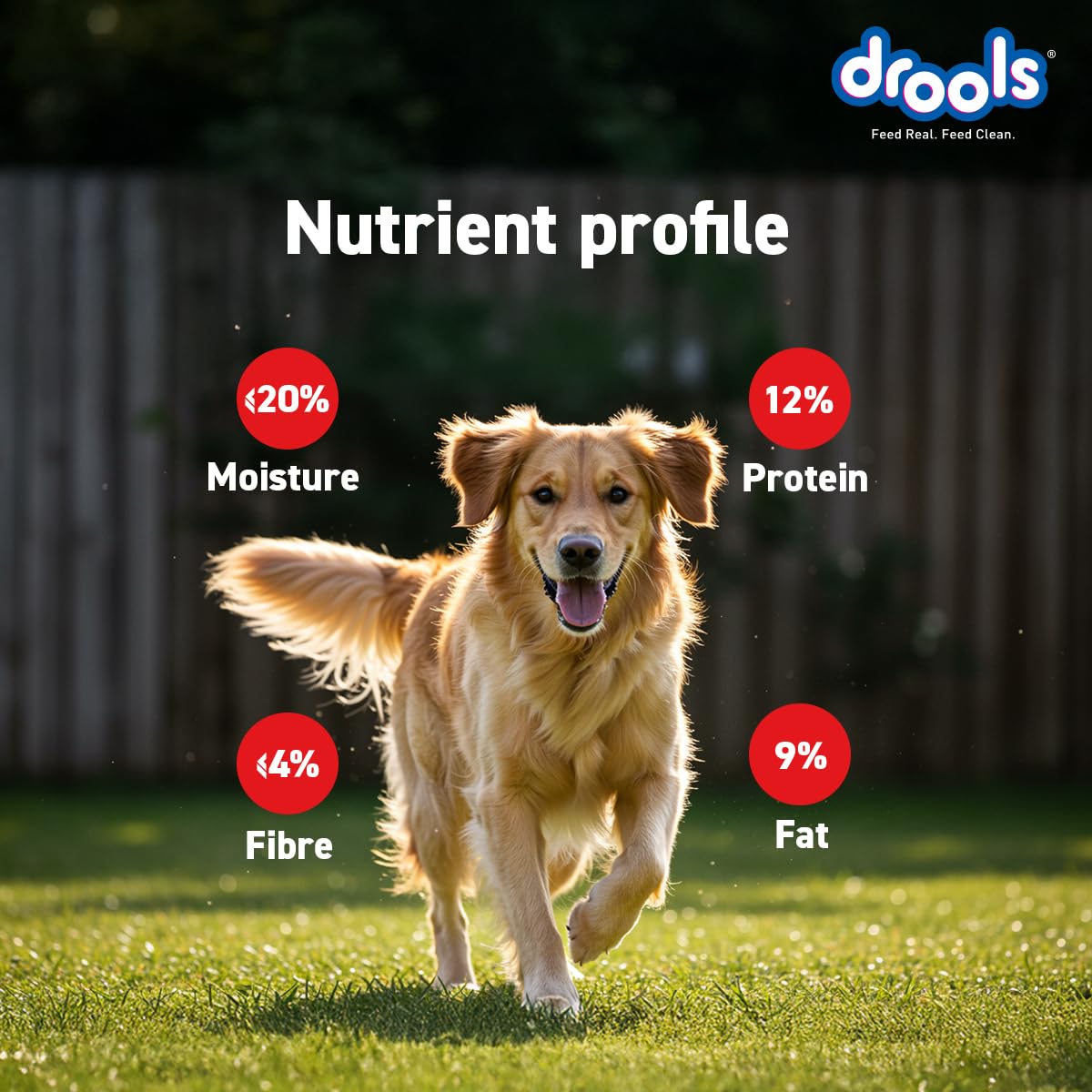 Drools Puppy & Adult Dog Treats Sticks 100g | Chicken Carrot Flavour | Rich in Protein | No Artificial Preservatives | Best for Training & Bonding | Formulated in USA | Premium Treats