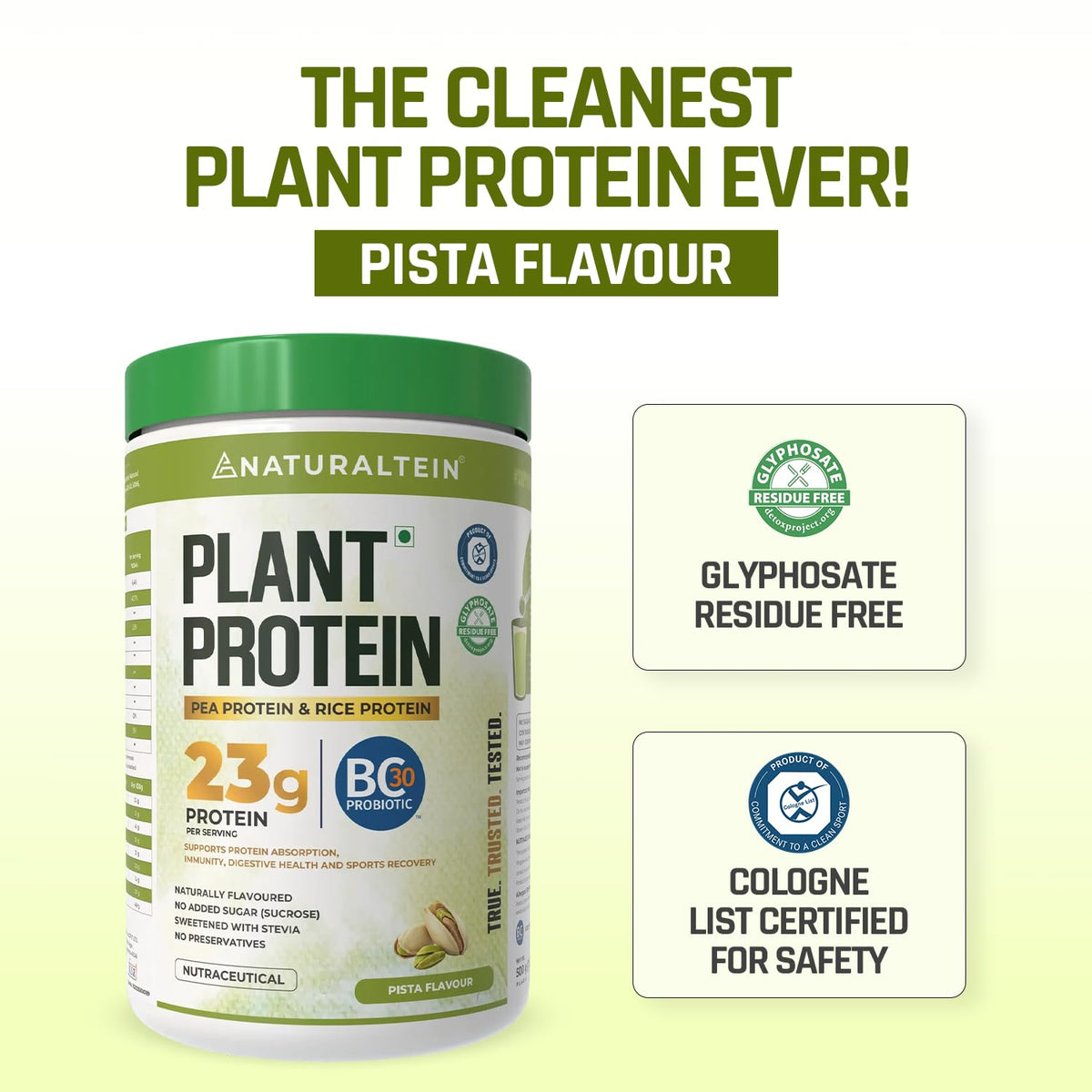 Naturaltein plant protein powder container with green and white label on a light yellow background