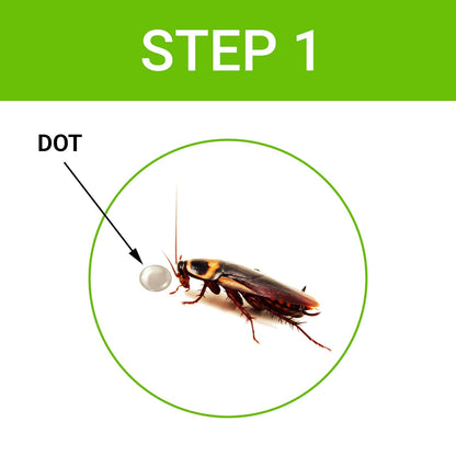 Cockroach Dot | Anti Cockroach gel with Neem extract(40gram) | Roach control | gel Bait with Easy to Use Injection