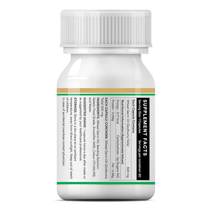 INLIFE Wheat Germ Oil Supplement | Natural Source of Vitamin E, 500 mg - 60 Capsules (Pack of 1, 60, count)